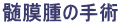 ̎p